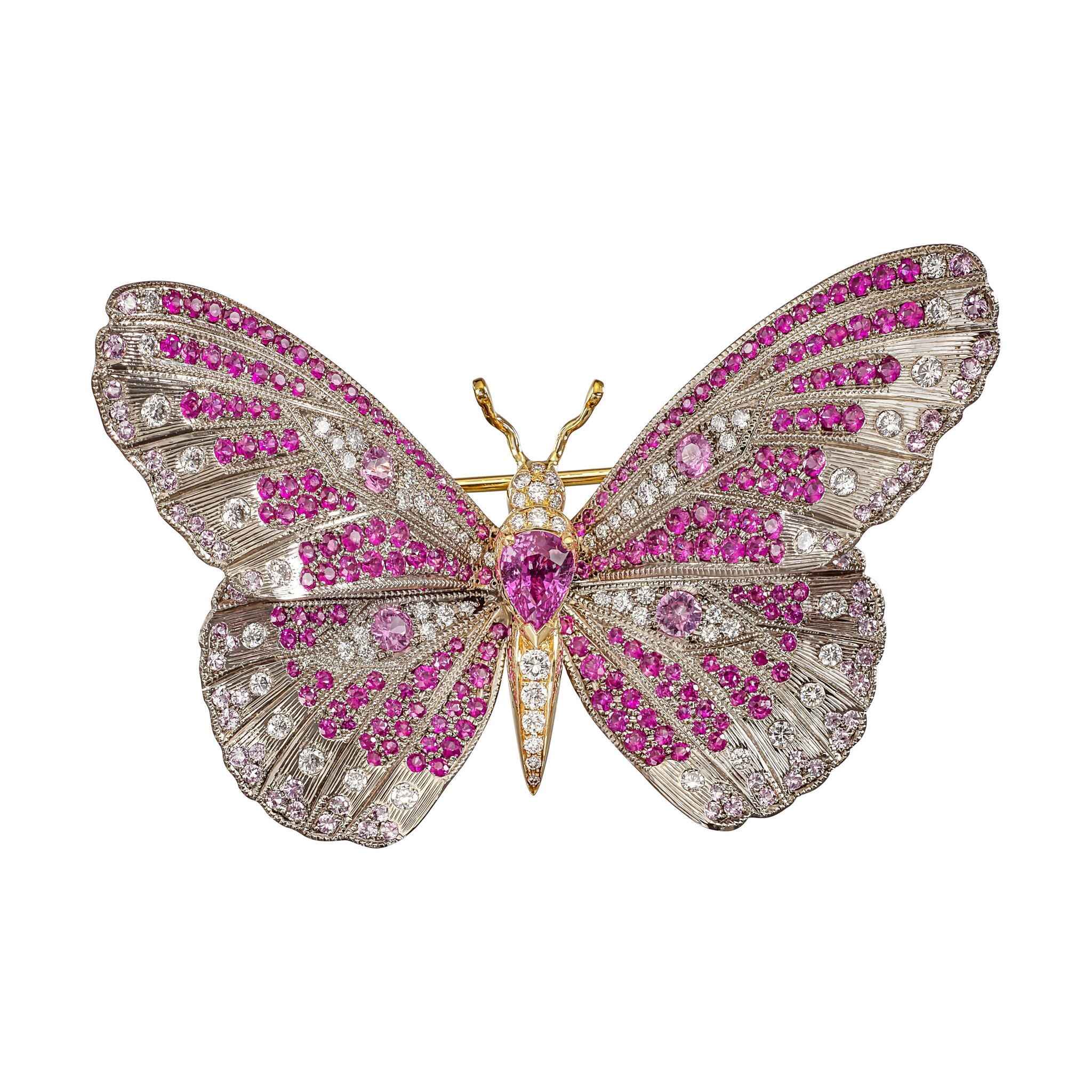 Titanium, Gold, Pink Sapphire and Diamond 'BUTTERFLY' Brooch — view 1